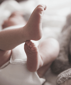 Bebés (0 a 36 meses)